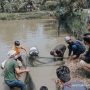 Pemkab Ciamis Siapkan Anggaran Untuk Pembudidaya Ikan Pemkab Ciamis Siapkan Anggaran Untuk Pembudidaya Ikan