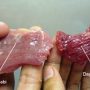 ILUSTRASI,cara membedakan daging sapi dan daging babi.