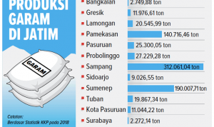 469 Ribu Ton Garam di Jatim Tak Terjual, Ada Wacana Impor Garam?