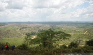 Terkait Pindah ke Ibu Kota Baru, Anggota DPR: Banyak Dilakukan Negara Maju