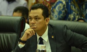 BUMN Ingin Beli Peternakan Sapi di Belgia, Begini Respon Martin Manurung