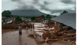 Data Terbaru BNPB Banjir NTT: 124 Orang Meninggal, 74 Hilang