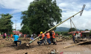 Perbaikan Listrik di Tiga Kecamatan Flores Timur Bakal Dirampungkan Besok
