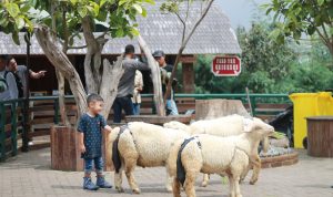 Wisata KBB Boleh Buka, Tapi Bakal Ditutup, Jika Melanggar...