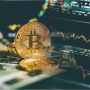 Memilih Aset Kripto Bisa Digunakan dengan Analisis Fundamental