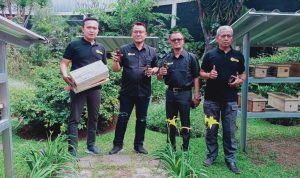 Kemitraan Budidaya Lebah Madu Klanceng, Tetap Eksis Dimasa Pandemi Covid-19