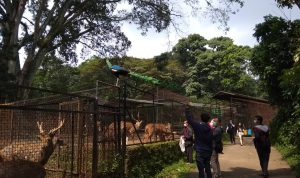 Satgas Covid-19 Kota Bandung Awasi Pengunjung Kebun Binatang