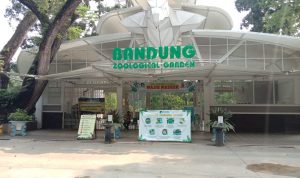 Soal Penutupan Sejumlah Objek Wisata, Pihak Kebun Binatang Kota Bandung Bilang Begini Nampak sepi pengunjung di pintu masuk Kebun Binatang Kota Bandung, Minggu, (23/5). Foto Sandi Nugraha/Jabar Ekspres.