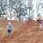 Proyek pembangunan Agro Organik di Desa Tenjolaya, Kecamatan Pasirjambu, Kabupaten Bandung