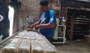 PUTAR OTAK: Seorang perajin tempe tengah mengemasi produksiannya.