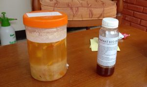 Eco Enzyme buatan warga Cipageran Asri, (kiri) proses pembuatannya, (kanan) hasil jadi dari produk eco enzym buatan warga. (Intan Aida/Jabar Ekspres)
