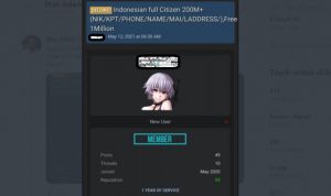 Heboh, Data Warga Indonesia Diduga Bocor, Dijual Online di Situs Hacker