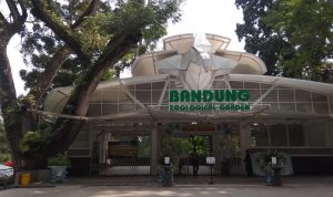 Kebun Binatang Lakukan Persiapan Atasi Lonjakan Pengunjung Saat Libur Lebaran