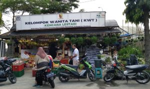 Selain Berhasil Olah Sampah Organik Jadi Bahan Gas, KWT Kelurahan Rancaekek Kencana Serobot Banyak Kejuaraan Kebun KWT Kelurahan Rancaekek Kencana, Kecamatan Rancaekek, Kabupaten Bandung, Senin (24/5). Yanuar Baswata