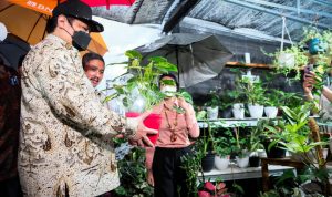 Airlangga Hartarto: Tingkatkan Ekspor Florikultura, Penuhi Ceruk Pasar Dunia Airlangga Hartarto: Tingkatkan Ekspor Florikultura, Penuhi Ceruk Pasar Dunia