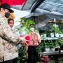 Airlangga Hartarto: Tingkatkan Ekspor Florikultura, Penuhi Ceruk Pasar Dunia