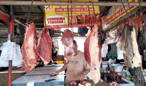 Harga Daging Segar di Pasar Kemiri Diprediksi Tak Akan Naik Lagi Harga Daging Segar di Pasar Kemiri Diprediksi Tak Akan Naik Lagi