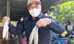 Lebaran Tahun Ini, KKP Bagi-bagi 2,5 Ton Ikan Segar di Karawang