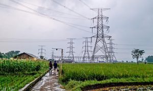 Ilustrasi Saluran Udara Tegangan Ekstra Tinggi (SUTET). (Istimewa)