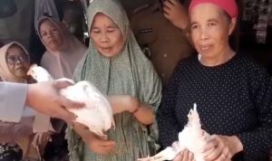 Lansia Divaksin Dapat 1 Ekor Ayam, Gubernur: Sangat Kreatif! Beberapa warga Cianjur lanjut usia mendapat hadiah ayam usai di vaksin