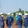 PLN UIP JBT Berhasil Laksanakan First Stringing SUTET 500 kV PLTU Indramayu – Cibatu (Deltamas)