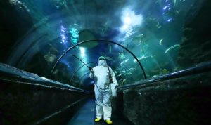 Akhir Tahun Mau Berwisata ke Ancol? Simak Jadwal Operasionalnya