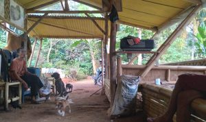 Para petani kopi di Desa Jatiroke, Kecamatan Jatinangor, Kabupaten Sumedang saat beristirahat di sebuah saung dekat kebun, Selasa (1/6). (Yanuar Baswata/Jabar Ekspres)