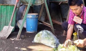 Pengolahan sampah organik dengan cara dipotong-potong sebelum dimasukan ke dalam penggiling, Pasar Melong, Kamis (3/6). (Intan Aida/Jabar Ekspres)