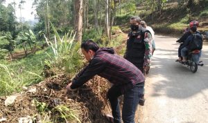 Sanksi Sosial Menanam Pohon Diberikan Kepada Pelaku Penebang Pohon Sanksi Sosial Menanam Pohon Diberikan Kepada Pelaku Penebang Pohon
