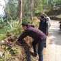 Sanksi Sosial Menanam Pohon Diberikan Kepada Pelaku Penebang Pohon