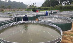 Rentan Tercemar, DKP Jabar Gencarkan Program Kelautan dan Perikanan