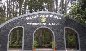 Meski Ditutup Sementara, Pegawai Tahura Djuanda Bandung Tetap Masuk
