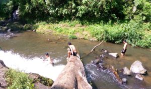 Diperpanjang, Penutupan Objek Wisata di KBB BERWISATA: Pengunjung menikmati objek wisata alam di Kabupaten Bandung Barat. (Ilustrasi)