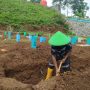 ILUSTRASI: Tukang gali kubur sedang mengerjakan galiannya di pemakaman khusus Covid-19 wilayah Cipageran, Kecamatan Cimahi Selatan.