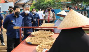 pengusaha mikro tiwul