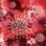 Ilustrasi virus Covid-19. (Pixabay)