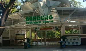 Krisis Keuangan, Gaji Karyawan Kebun Binatang Bandung Terpaksi Dibagi 2 dengan Satwa
