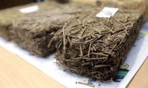 529 Kilogram Narkoba Jenis Ganja Gagal Beredar!