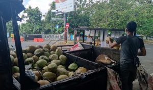 Penjual Kelapa Muda Masih Raup Untung di Tengah PPKM