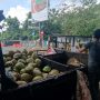 Penjual Kelapa Muda Masih Raup Untung di Tengah PPKM