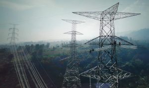 Lampaui Target, Sinergi BPN dan PLN Amankan Aset 279 Sertifikat Tanah Terbit di Indramayu Lampaui Target, Sinergi BPN dan PLN Amankan Aset 279 Sertifikat Tanah Terbit di Indramayu