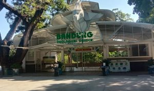 Kebun Binatang Bandung Berencana Korbankan Satwa Tidak Dilindungi untuk Karnivora, Pemkot Enggan Berkomentar