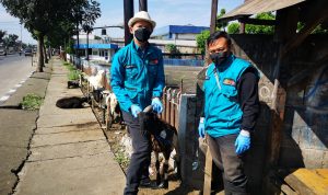 Tak Layak Jual, 276 Hewan Kurban di Kota Bandung PERIKSA HEWAN: Pihak Dispangtan Kota Bandung melakukan pemeriksaan hewan kurban.
