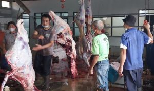 Naik 100 Persen, Angka Pemotongan Hewan Kurban di RPH Pencacahan daging hewan kurban yang telah disembelih di Rumah Potong Hewan (RPH) Parongpong, KBB.