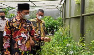Bidang Pertanian, Pekerjaan 40 Persen Warga Kabupaten Bandung Bupati Bandung Dadang Supriatna, melihat tanaman obat dan buah-buahan yang ada di greenhouse milik Dinas Pertanian Kabupaten Bandung. (Yully S Yulianty/Jabar Ekspres)