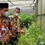 Bupati Bandung Dadang Supriatna, melihat tanaman obat dan buah-buahan yang ada di greenhouse milik Dinas Pertanian Kabupaten Bandung. (Yully S Yulianty/Jabar Ekspres)