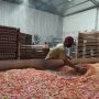Proses pengeringan kerupuk di pabrik kerupuk mentah di Cipamokolan, Kelurahan Derwati, Kecamatan Rancasari.