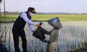 Kadishub Jabar, Hery Antasari saat melakukan pembagian sembako kepada seorang warga.