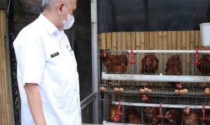 Kepala Dinas Ketahanan Pangan dan Peternakan (DKPP) Jabar, Jafar Ismail.