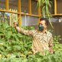 Bupati Bandung Ajak Warga Bercocok Tanam: Hidroponik Punya Kelebihan